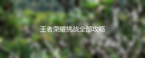 王者荣耀挑战全部攻略