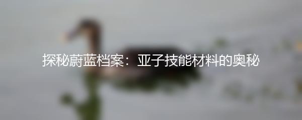 探秘蔚蓝档案：亚子技能材料的奥秘