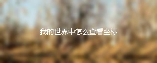 我的世界中怎么查看坐标