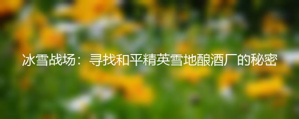冰雪战场：寻找和平精英雪地酿酒厂的秘密