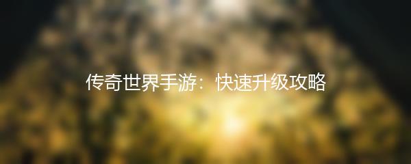 传奇世界手游：快速升级攻略