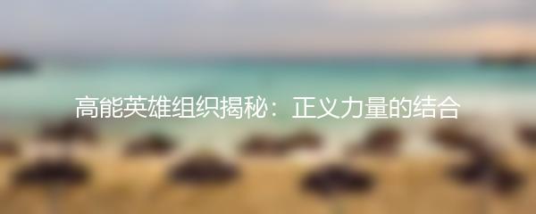 高能英雄组织揭秘：正义力量的结合