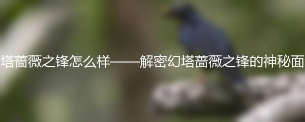 幻塔蔷薇之锋怎么样——解密幻塔蔷薇之锋的神秘面纱