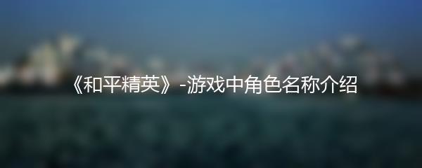 《和平精英》-游戏中角色名称介绍