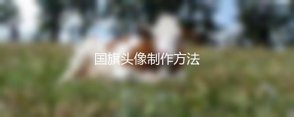 国旗头像制作方法