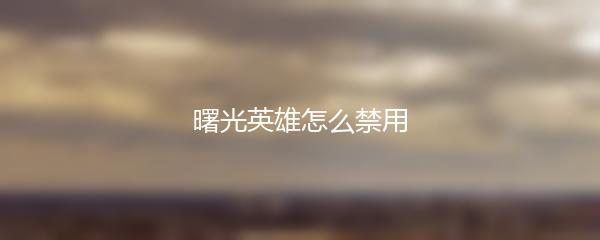 曙光英雄怎么禁用