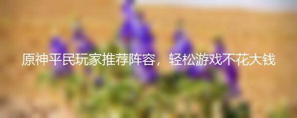 原神平民玩家推荐阵容，轻松游戏不花大钱