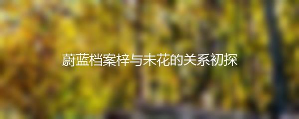 蔚蓝档案梓与未花的关系初探