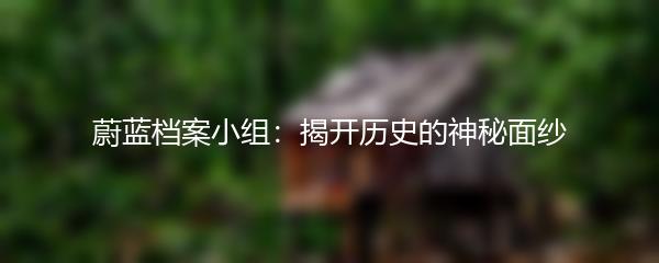 蔚蓝档案小组：揭开历史的神秘面纱