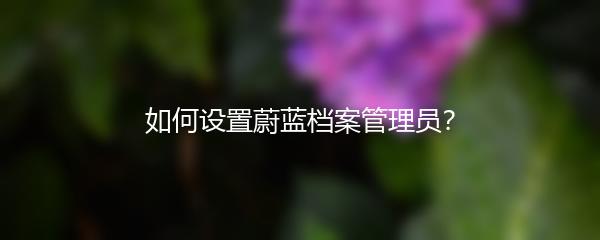 如何设置蔚蓝档案管理员？