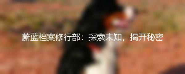 蔚蓝档案修行部：探索未知，揭开秘密