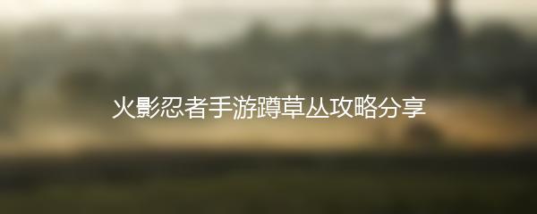 火影忍者手游蹲草丛攻略分享