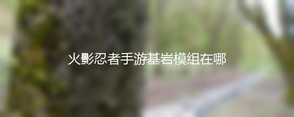火影忍者手游基岩模组在哪