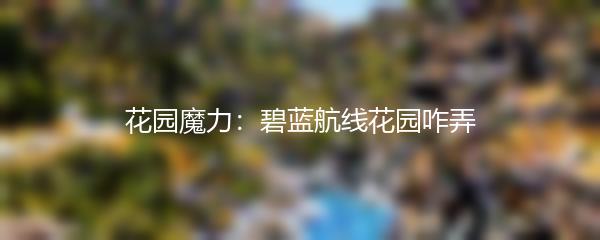 花园魔力：碧蓝航线花园咋弄