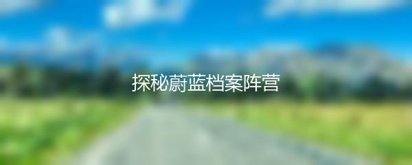 探秘蔚蓝档案阵营