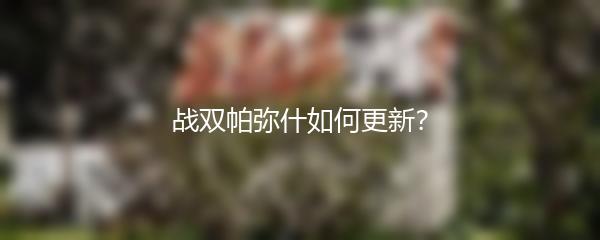 战双帕弥什如何更新？
