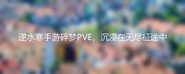 逆水寒手游碎梦PVE，沉浸在无尽征途中