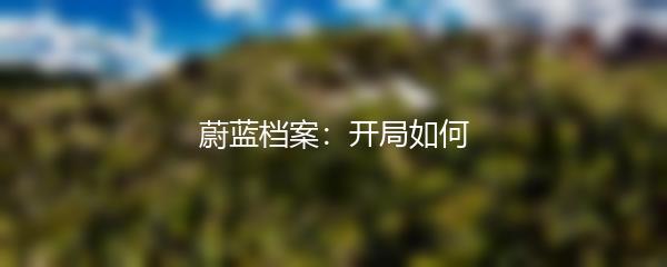 蔚蓝档案：开局如何