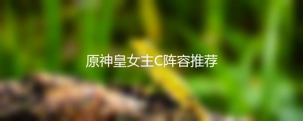 原神皇女主C阵容推荐