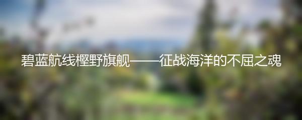 碧蓝航线樫野旗舰——征战海洋的不屈之魂