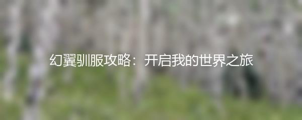 幻翼驯服攻略：开启我的世界之旅