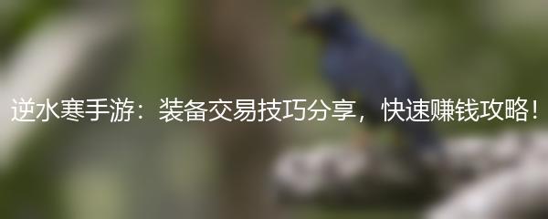 逆水寒手游：装备交易技巧分享，快速赚钱攻略！