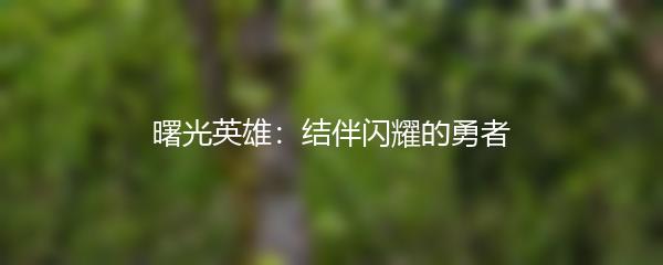 曙光英雄：结伴闪耀的勇者