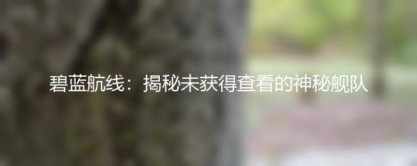 碧蓝航线：揭秘未获得查看的神秘舰队