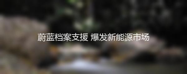 蔚蓝档案支援 爆发新能源市场