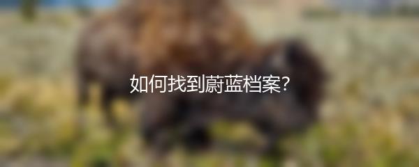 如何找到蔚蓝档案？