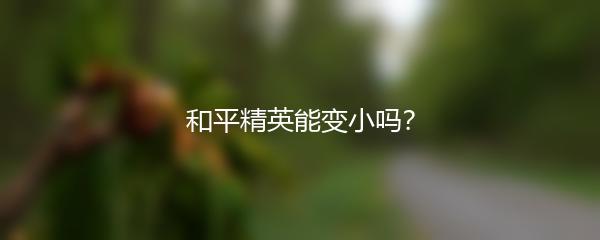 和平精英能变小吗？