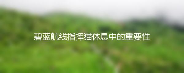 碧蓝航线指挥猫休息中的重要性