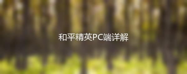 和平精英PC端详解