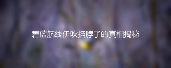 碧蓝航线伊吹掐脖子的真相揭秘