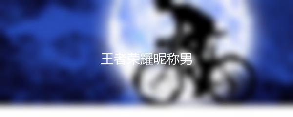 王者荣耀昵称男