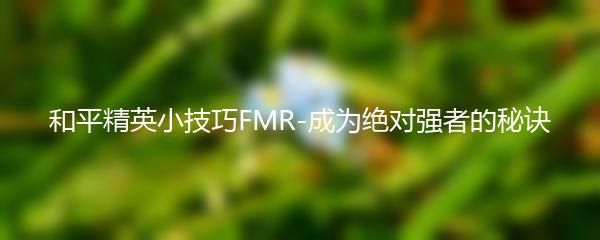 和平精英小技巧FMR-成为绝对强者的秘诀