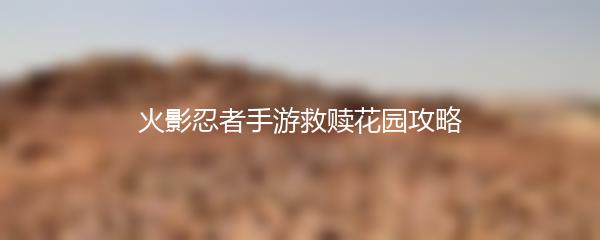 火影忍者手游救赎花园攻略