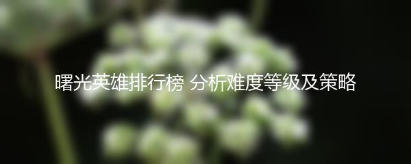 曙光英雄排行榜 分析难度等级及策略