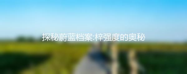 探秘蔚蓝档案:梓强度的奥秘