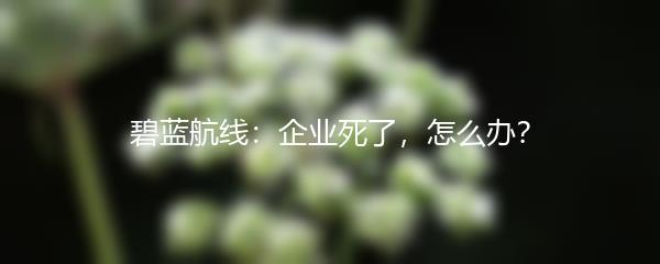 碧蓝航线：企业死了，怎么办？