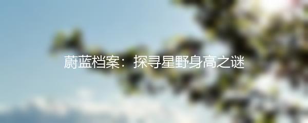 蔚蓝档案：探寻星野身高之谜