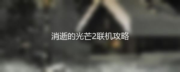 消逝的光芒2联机攻略