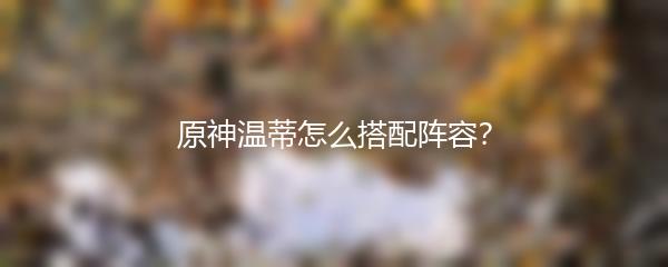 原神温蒂怎么搭配阵容？