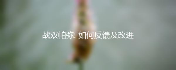 战双帕弥: 如何反馈及改进