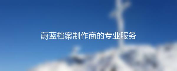 蔚蓝档案制作商的专业服务