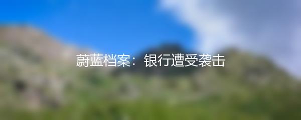 蔚蓝档案：银行遭受袭击