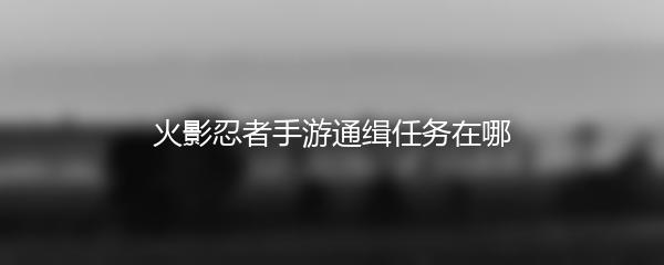 火影忍者手游通缉任务在哪