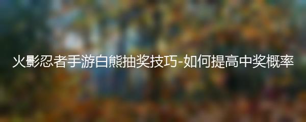 火影忍者手游白熊抽奖技巧-如何提高中奖概率