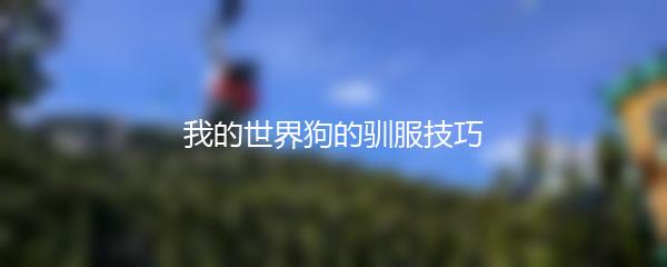 我的世界狗的驯服技巧