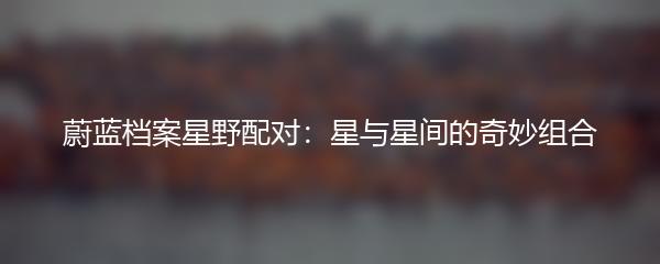 蔚蓝档案星野配对：星与星间的奇妙组合